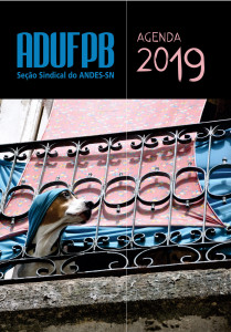 CAPA 2_ALEXANDRINO FILHO