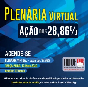plenária virtual ação dos 28,86